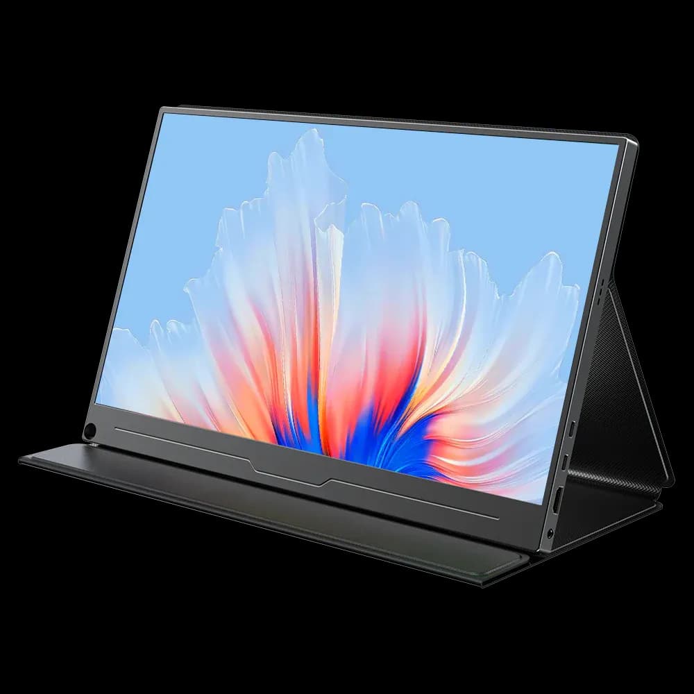 WS Portable Monitor